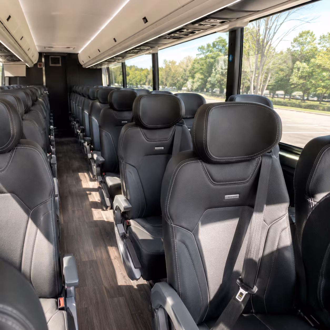 springfield charter bus inside