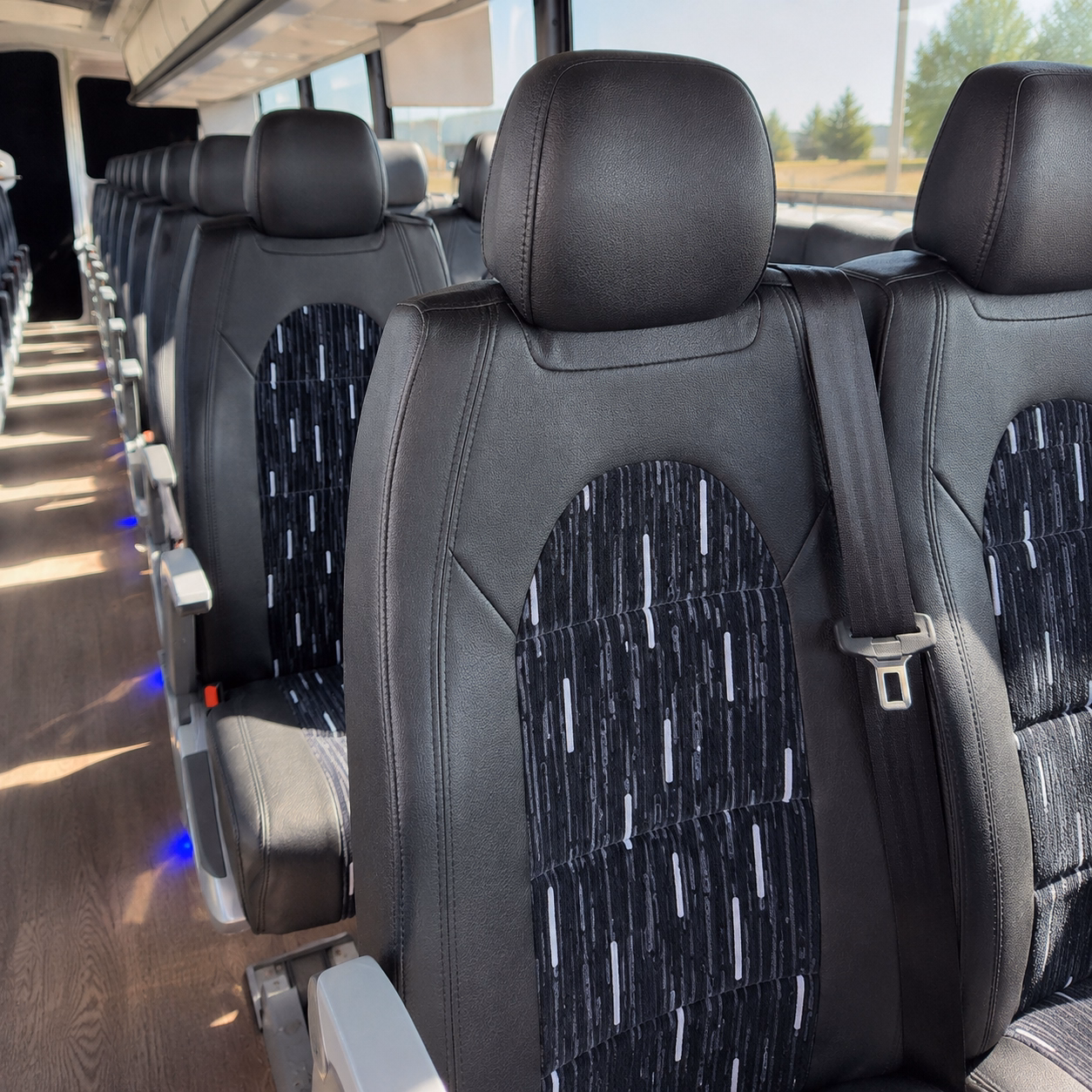 springfield charter bus services interior