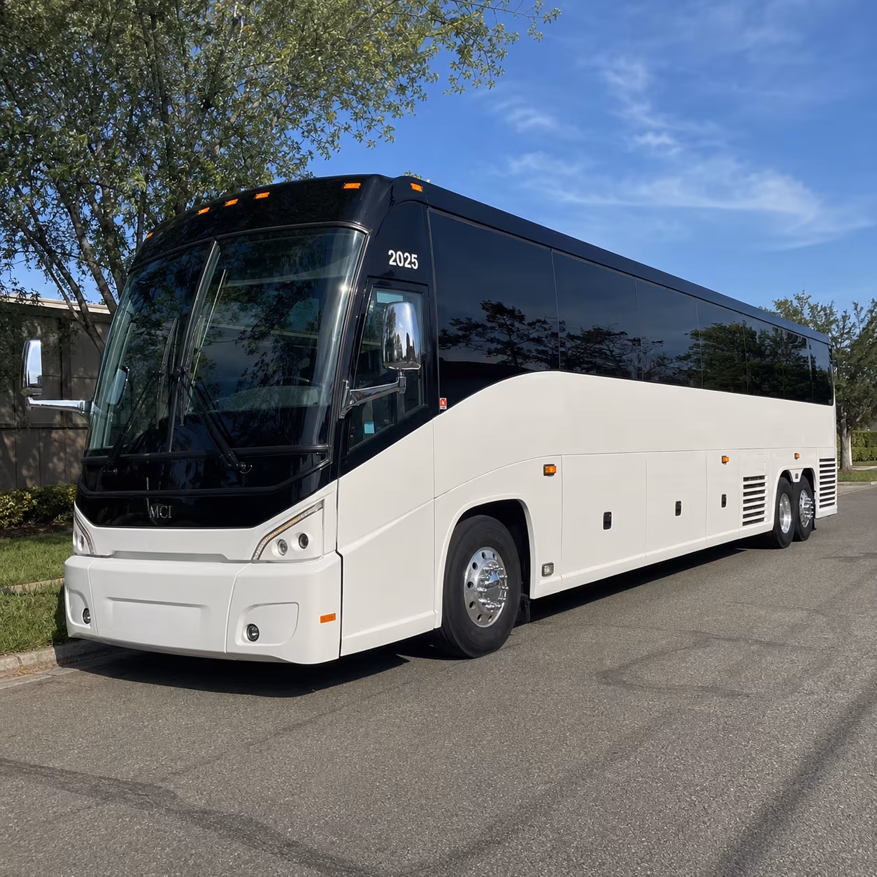 tanglewood concert shuttles from springfield lawn nights made easy