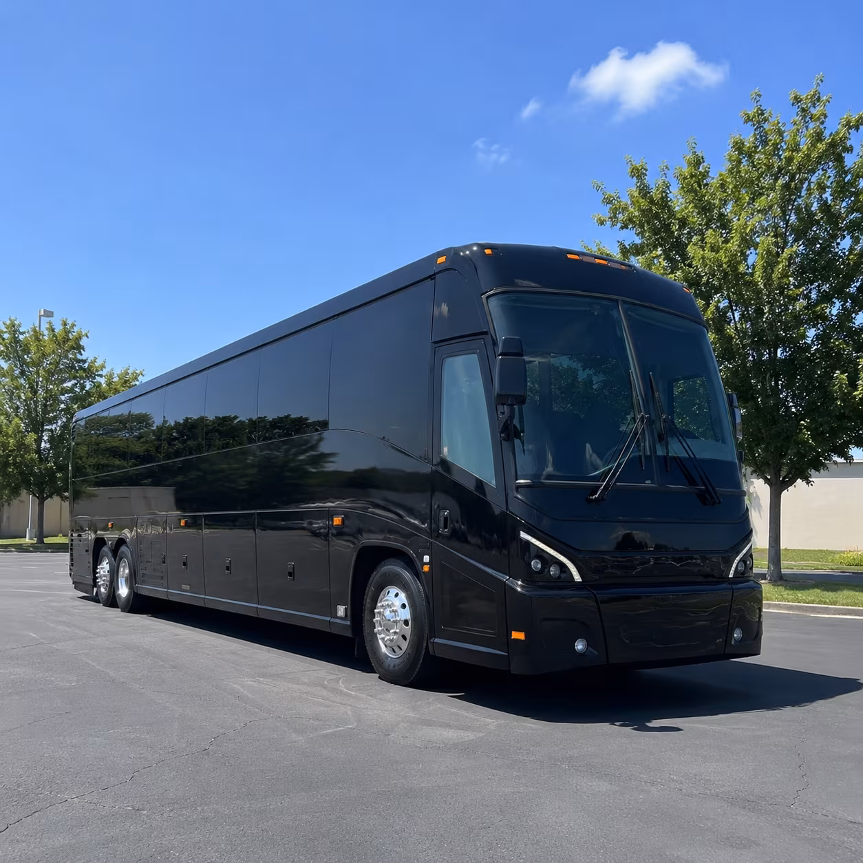 with one form compare buses for red sox patriots and boston sports trips from springfield